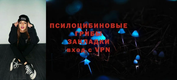 PSILOCYBIN Беломорск